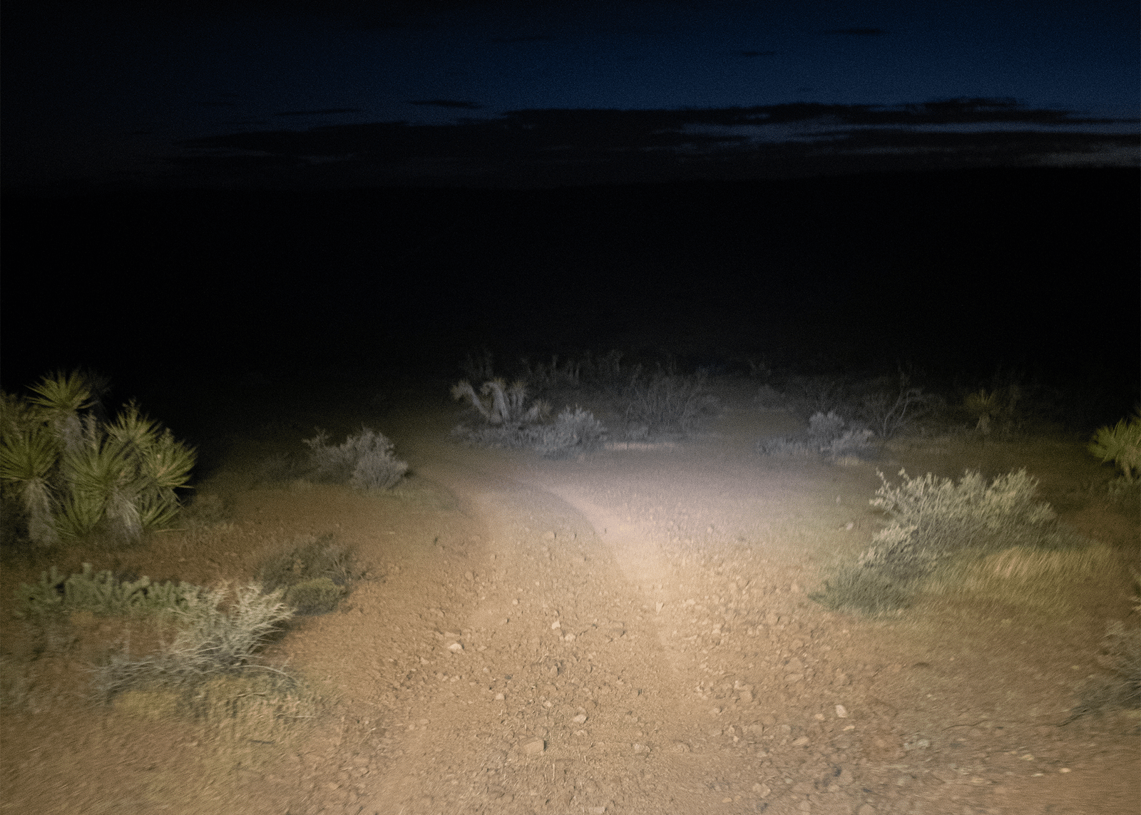 High Desert Expeditions — the desert at night
