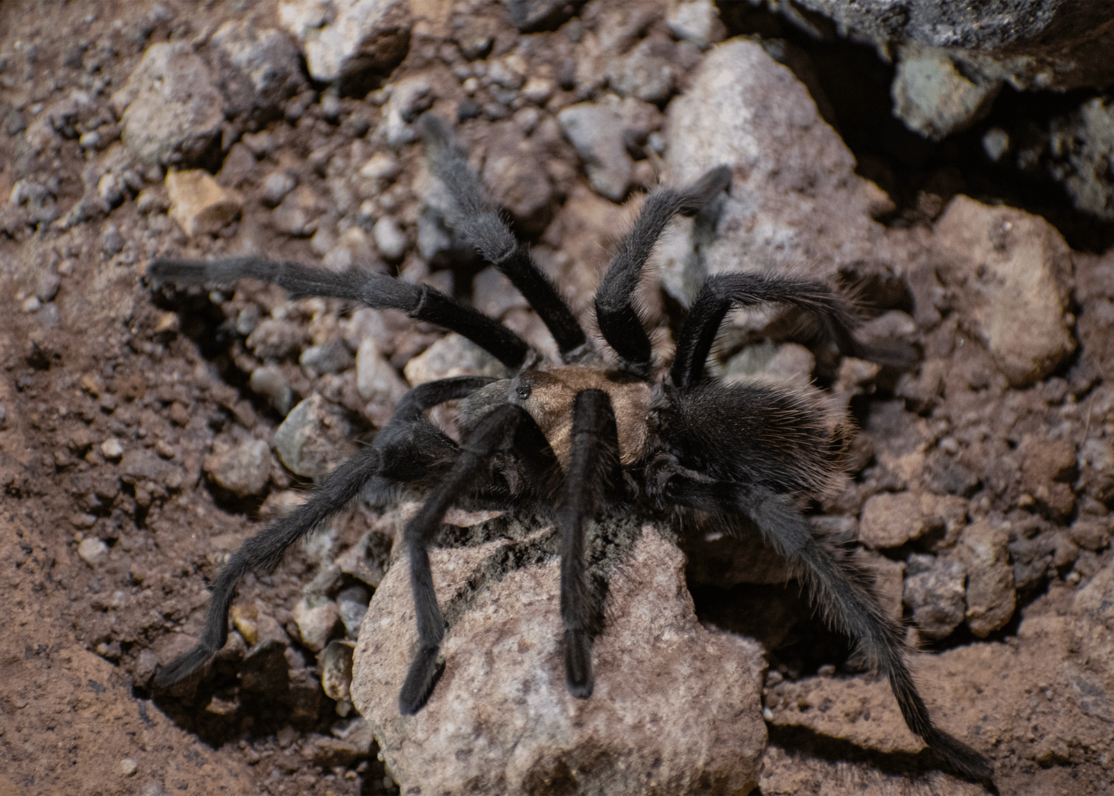 High Desert Expeditions — the desert at night
